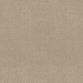 Pattern Twine Beige/Tan Carpet