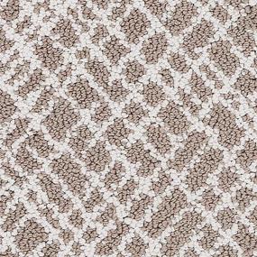 Loop Spiced Honey Gray Carpet