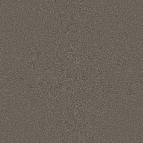 Cut Pile French Roast Brown Carpet