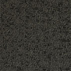 Pattern Midnight Black Carpet