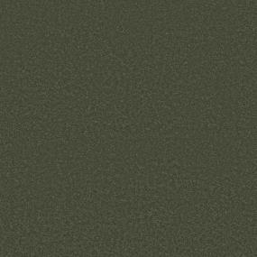 Textured Saxony Botanical Brown Carpet