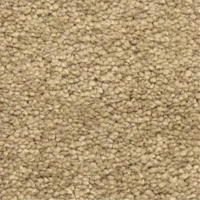 Casual Texture Nuez Beige/Tan Carpet