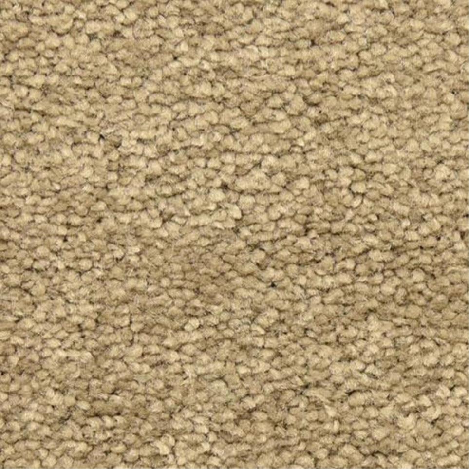Casual Texture Nuez Beige/Tan Carpet