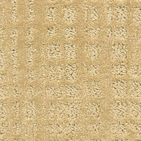 Pattern Corn Maze Beige/Tan Carpet