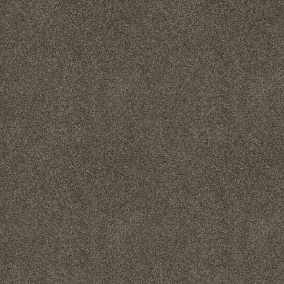 Texture Polished Hickory Brown Carpet