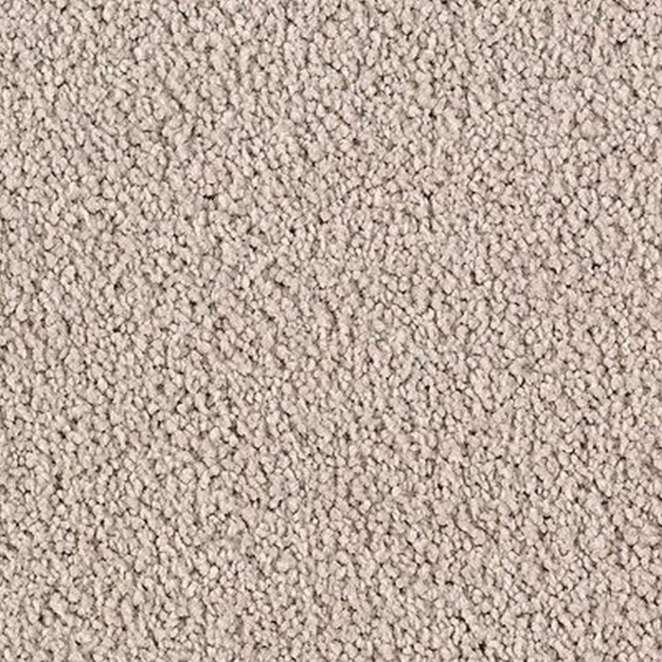 Textured Saxony Blush Tint Beige/Tan Carpet