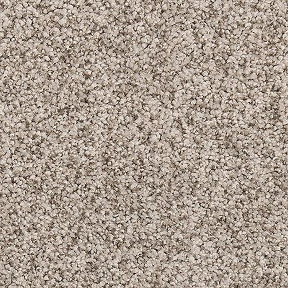 Textured Saxony Trolley Brown Carpet