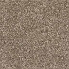 Textured Saxony Mineral Brown Carpet