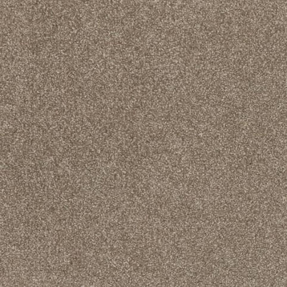 Textured Saxony Mineral Brown Carpet