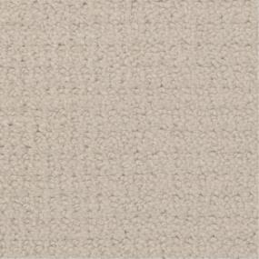 Pattern Alabaster Beige/Tan Carpet