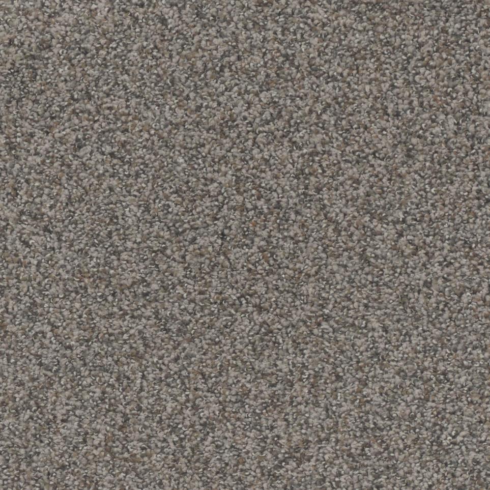 Textured Saxony Carved Stone Beige/Tan Carpet