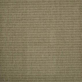Pattern Mushroom Beige/Tan Carpet