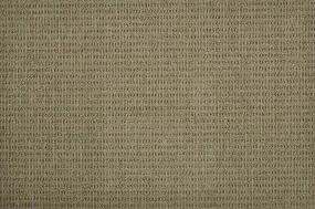 Pattern Mushroom Beige/Tan Carpet