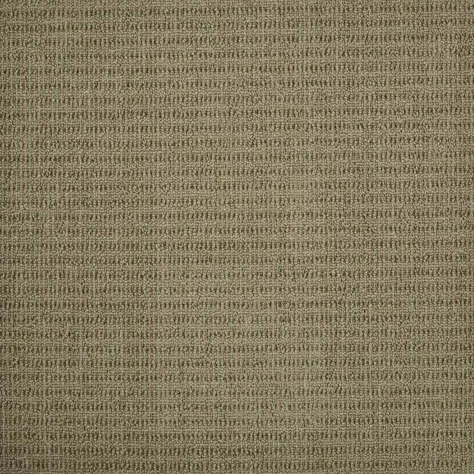 Pattern Mushroom Beige/Tan Carpet