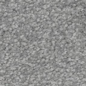 Texture Destiny Gray Carpet