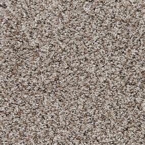 Pattern Oyster Shell Brown Carpet
