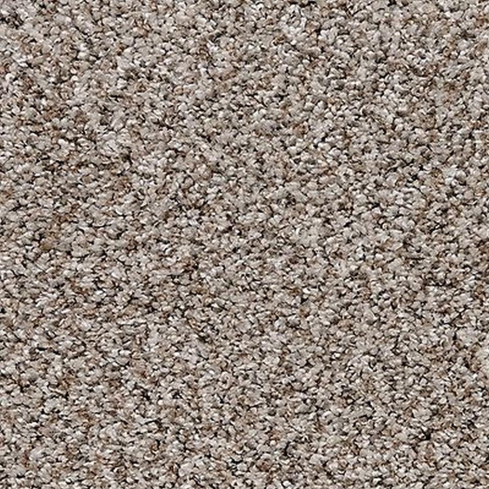 Pattern Oyster Shell Brown Carpet