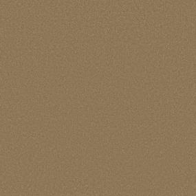 Textured Saxony Sahara Gold Brown Carpet