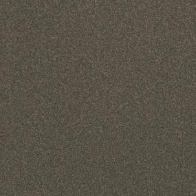 Textured Saxony Devine Brown Carpet