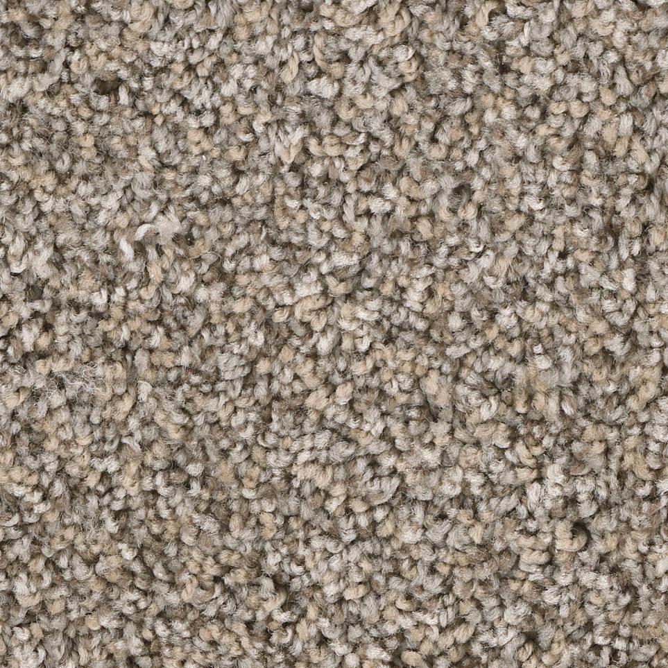 Texture Medley  Carpet