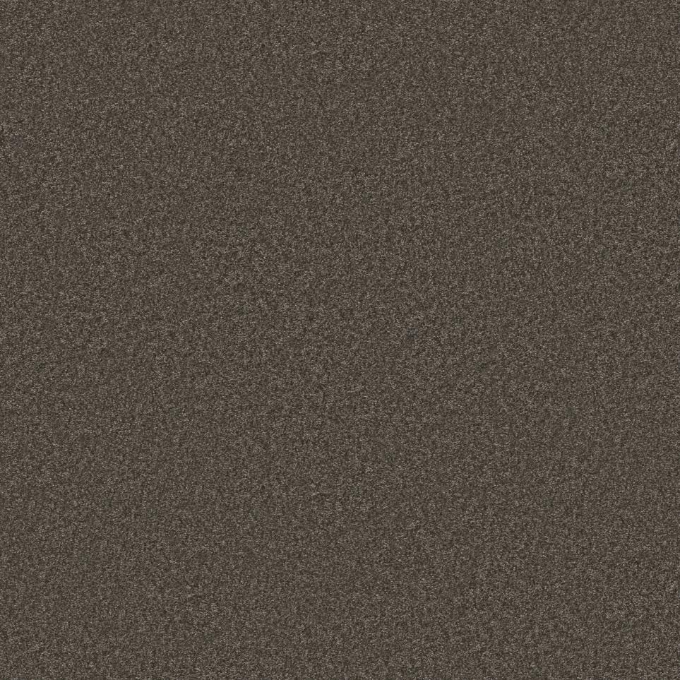 Casual Texture Dark Truffle Brown Carpet