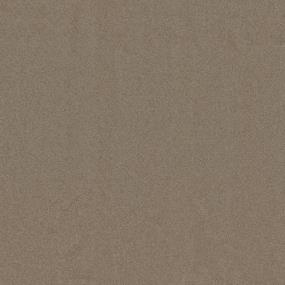 Casual Texture Walking Path Beige/Tan Carpet