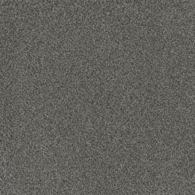 Texture Established Black Carpet