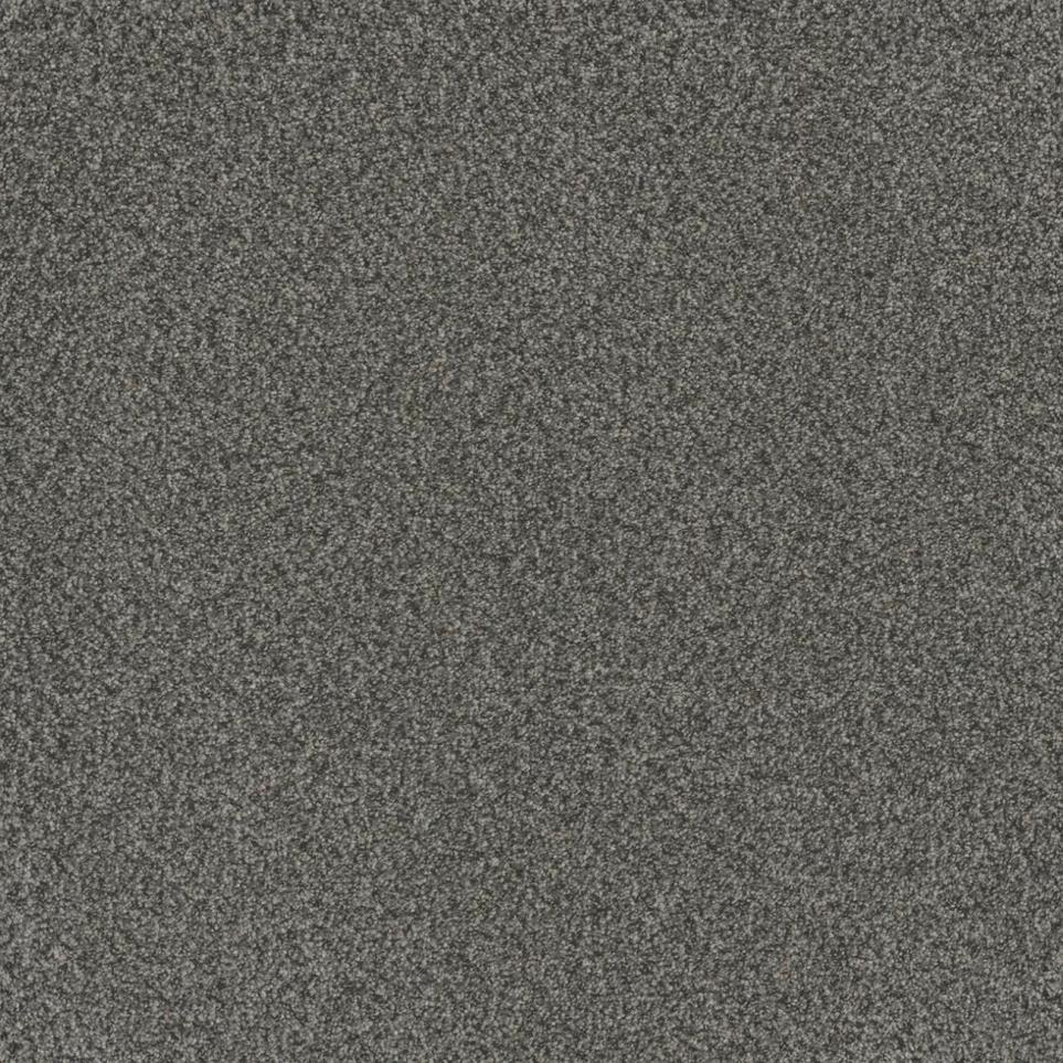 Texture Established Black Carpet