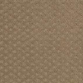 Pattern Remastered Brown Carpet