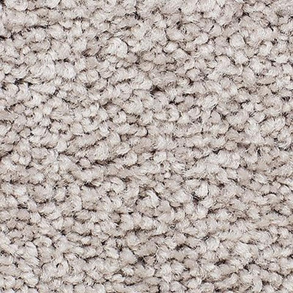 Textured Saxony Cypress Beige/Tan Carpet