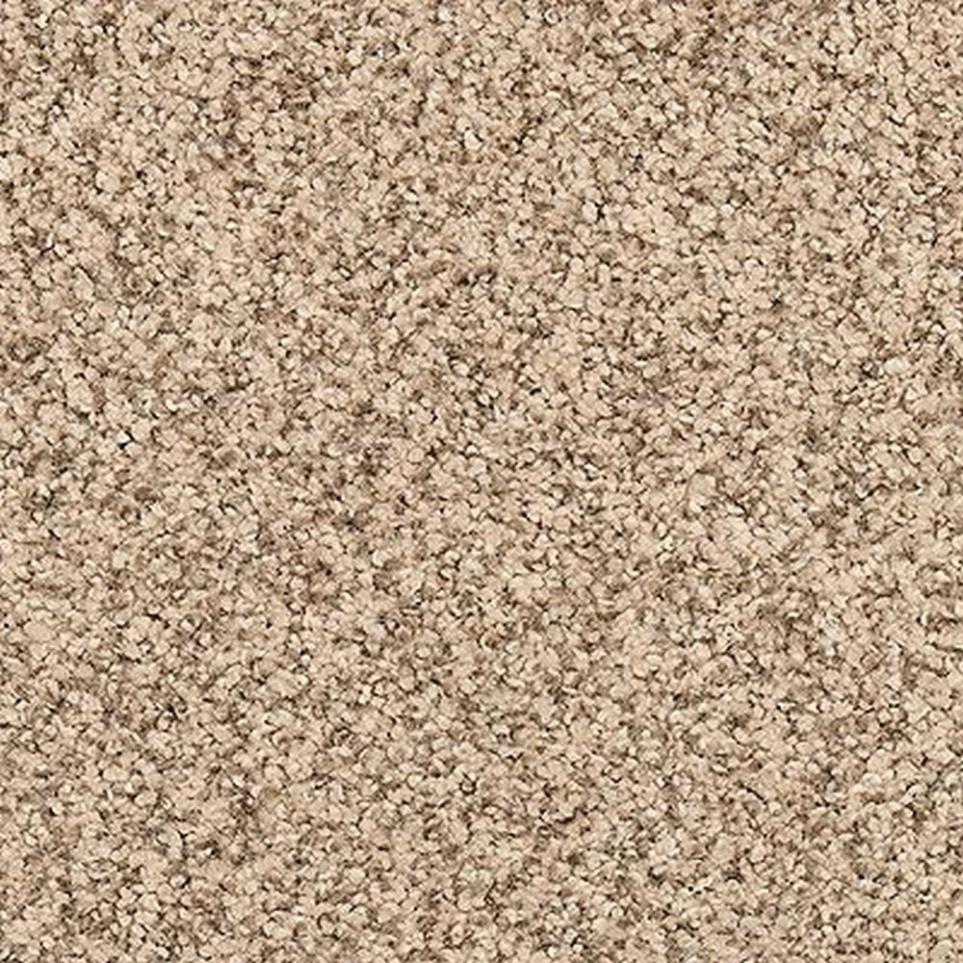 Textured Saxony Tuscan Brown Carpet