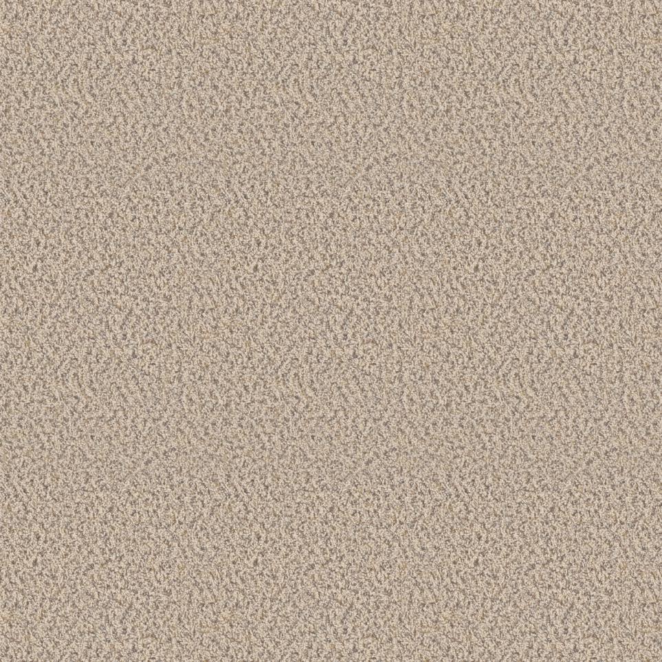 Texture Cashew Beige/Tan Carpet