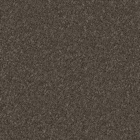 Textured Saxony Warm Embrace Brown Carpet