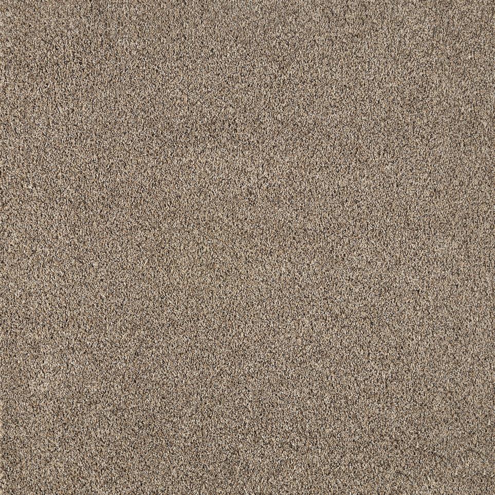Texture Intuition Beige/Tan Carpet