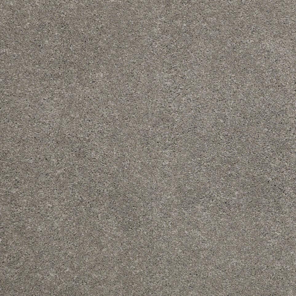 Texture Cement Brown Carpet
