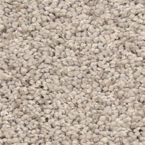 Casual Texture Camelot Beige/Tan Carpet