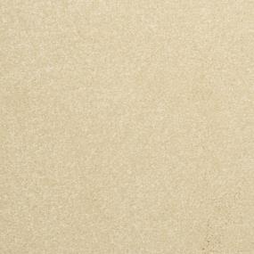 Textured Saxony Warm Up Beige/Tan Carpet