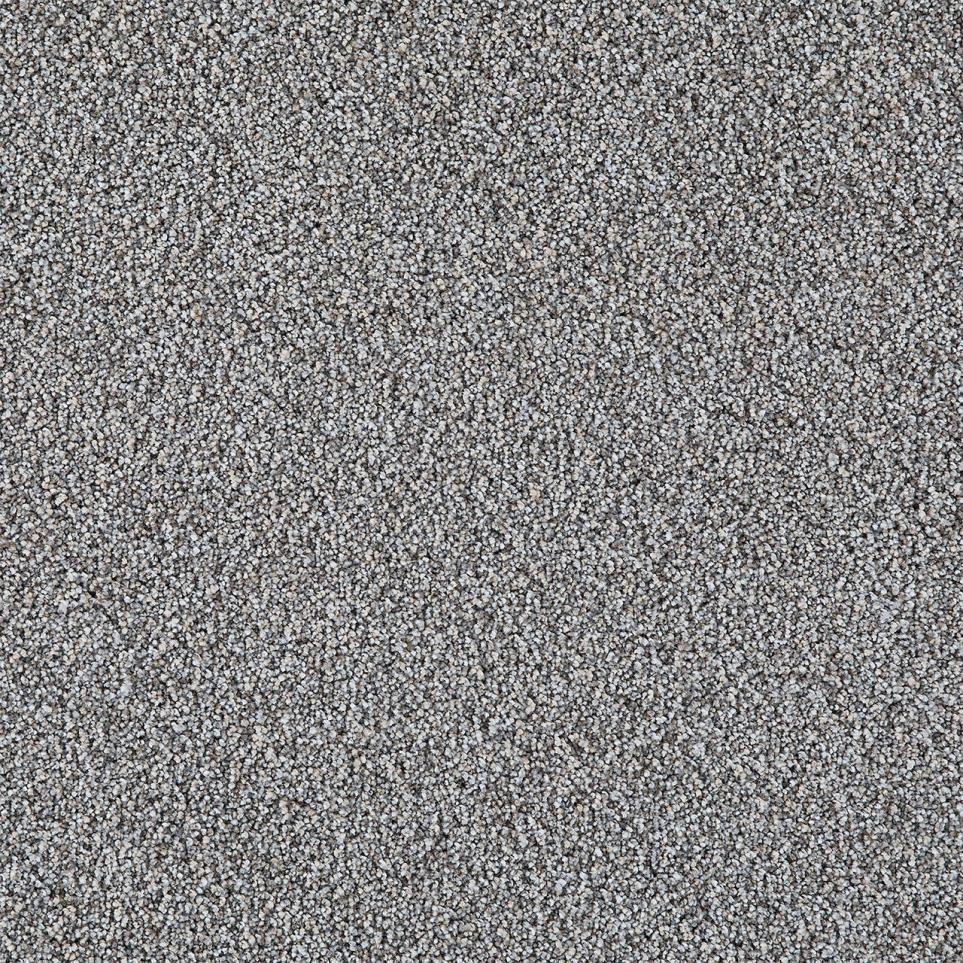 Cut Pile Mellow Gray Carpet