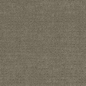 Pattern Tradition Brown Carpet