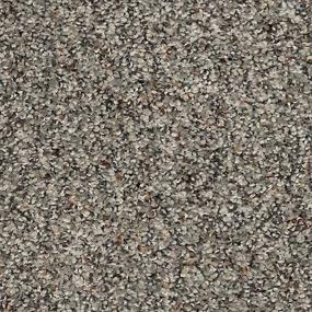 Textured Saxony Destiny Gray Carpet