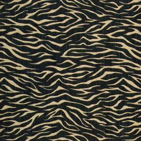 Pattern Midnight Black Carpet