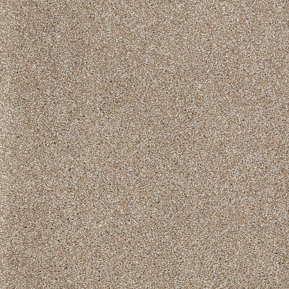 Texture Crushed Stone Beige/Tan Carpet