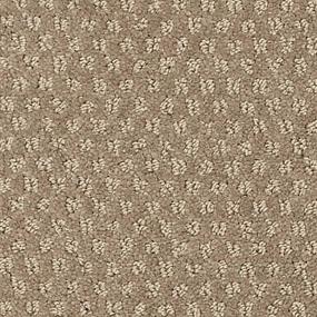 Pattern Crocker Brown Carpet