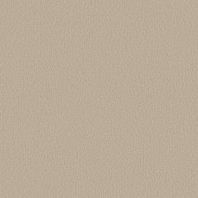 Pattern Champagne Beige/Tan Carpet