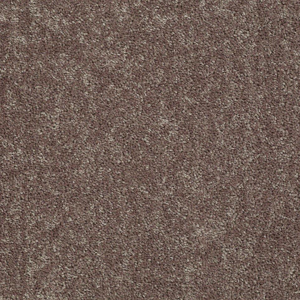 Texture Stonington Brown Carpet
