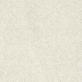 Textured Saxony Whipped Cream White Carpet