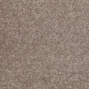 Textured Saxony Lava Rock Beige/Tan Carpet