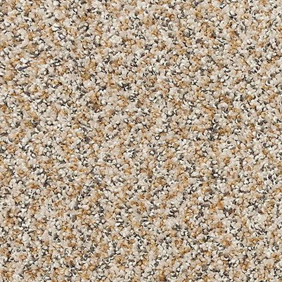 Textured Saxony Sonora Beige/Tan Carpet