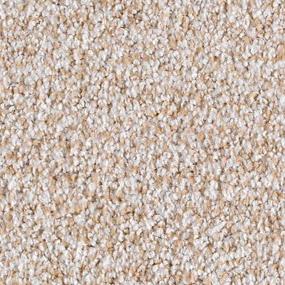 Textured Saxony Soft Whisper Brown Carpet