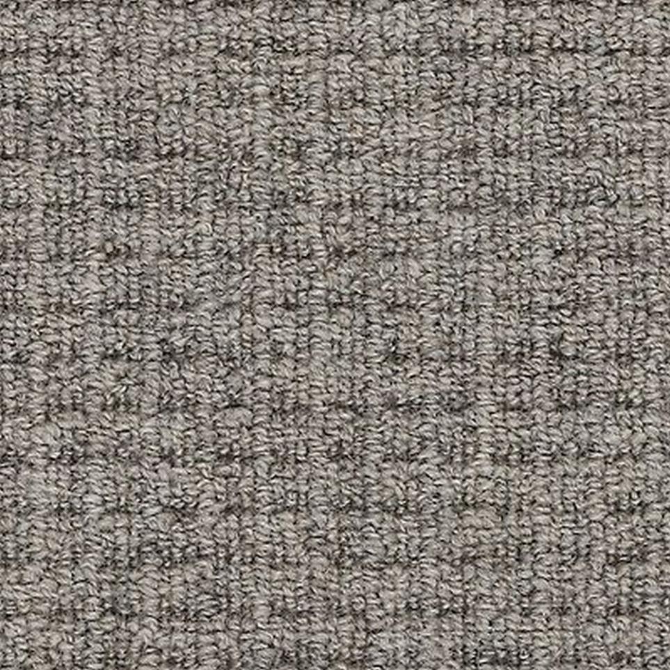 Loop Greige Gray Carpet